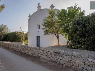 A fianco alla tenuta si trova anche la piccola e bianca cappella di Sant�Antonio, risalente al 1725...
